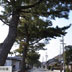 白須賀宿