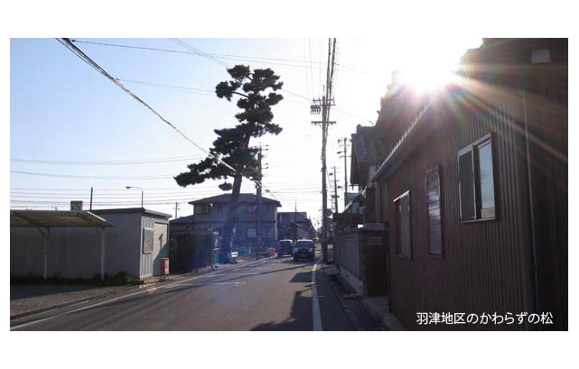 43.四日市 - 東海道と港へ通じる東西道路